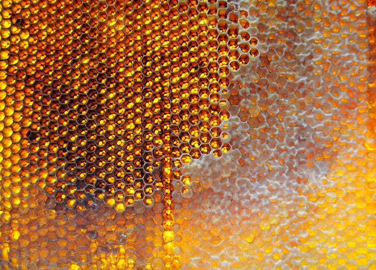 Detailed view of a honeycomb filled with golden honey, showcasing its intricate hexagonal pattern.